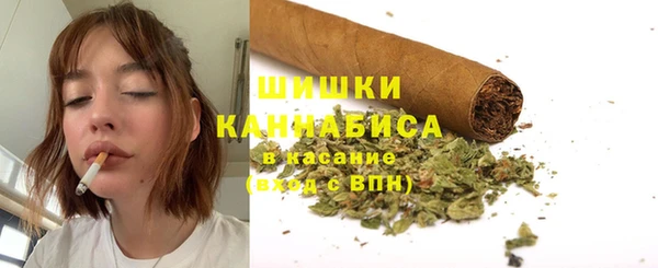 ПСИЛОЦИБИНОВЫЕ ГРИБЫ Михайлов
