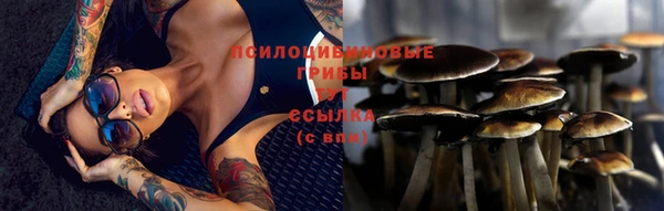 индика Кукмор
