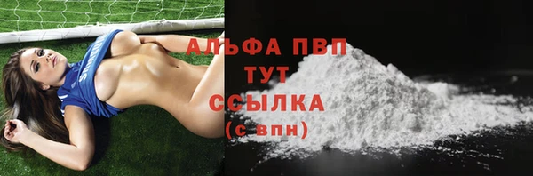 ПСИЛОЦИБИНОВЫЕ ГРИБЫ Михайлов