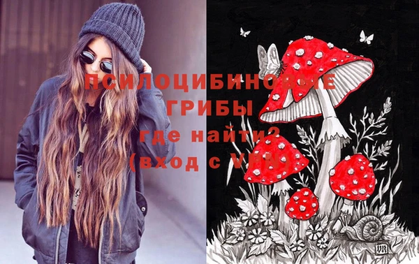 крисы Михайловка